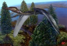 Phi Plumed Serpent pterosaur