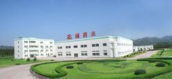 Pharmaceutical Co, Ltd Zhejiang Have