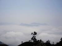 Misty Peaks