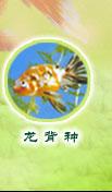 Wulongbei slags guldfisk