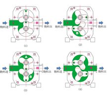 Rotor pumpe