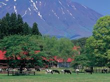 Iwate: Iwate Prefecture