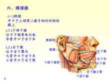 Oral kirtel