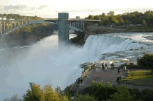 Buffalo