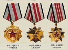 Fortjenstfulde service medalje