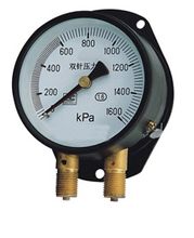 Gauge nål