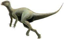 Ornithopod