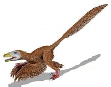 Millennium kinesiske drage Bird