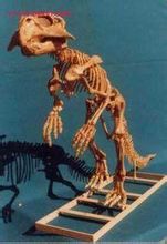 Iguanodon klasse