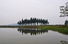 Whitehead Lake